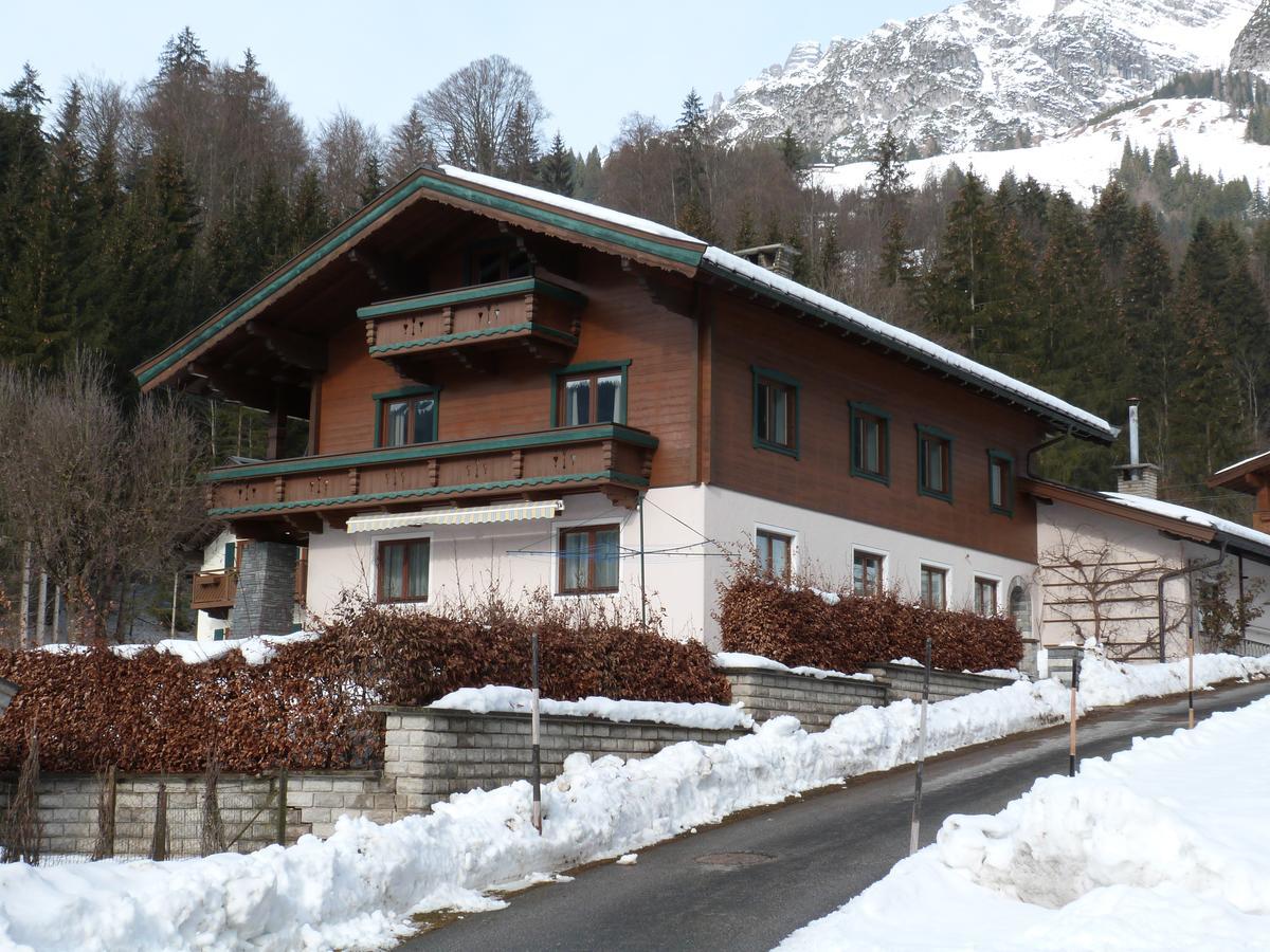 Premium Chalet Andrea Leogang Exterior photo